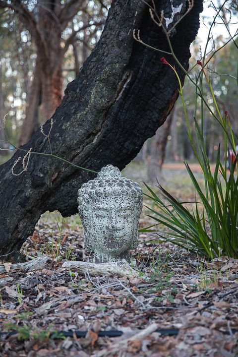 Amaroo Retreat & Spa - Accommodation Cooktown 17