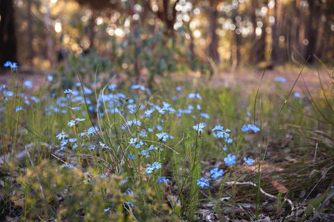 Amaroo Retreat & Spa - Accommodation Cooktown 15
