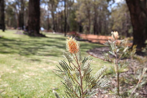 Amaroo Retreat & Spa - Accommodation Cooktown 19