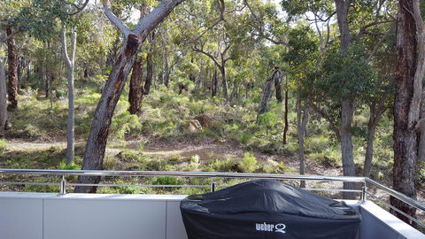 Cape Villas - Accommodation Cooktown 5