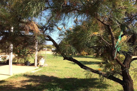 Ocean View Homestead - Accommodation Cooktown 23