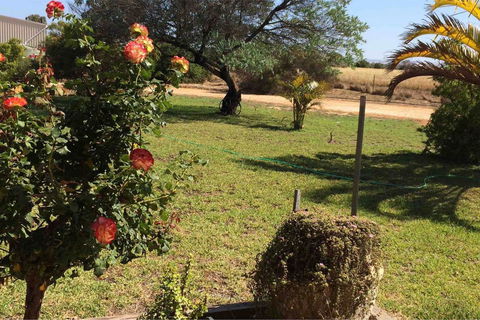 Ocean View Homestead - Accommodation Cooktown 24