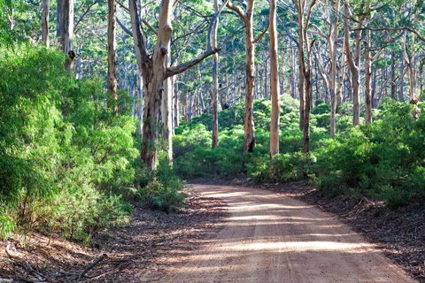 Margaret River Retreat - Accommodation Cooktown 20