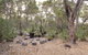53 Martina Drive - thumb 29
