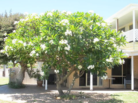 Kalbarri Riverfront Unit - Accommodation Cooktown 6