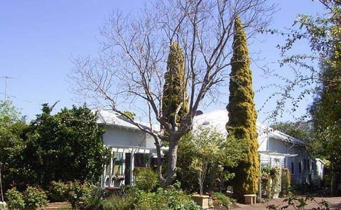 Jacaranda Guest House - Accommodation Cooktown 37