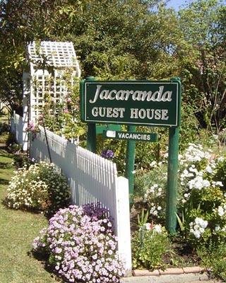 Jacaranda Guest House - Accommodation Cooktown 43