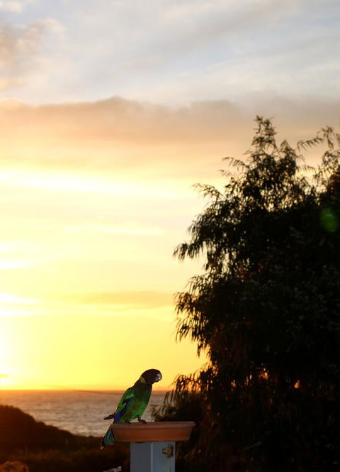 Peppy Beach Ocean Views - Accommodation Cooktown 12