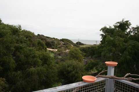 Peppy Beach Ocean Views - Accommodation Cooktown 8