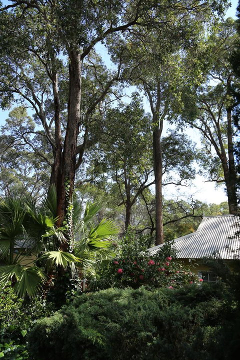 Two Sisters Chalets - Accommodation Cooktown 33
