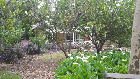 Two Sisters Chalets - Accommodation Cooktown 15