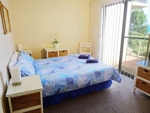 Scarborough & Absolutely Beachfront - Accommodation Cooktown 7