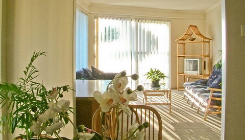 Scarborough & Absolutely Beachfront - Accommodation Cooktown 15