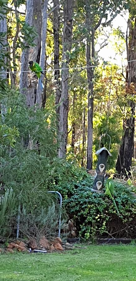 Di's Cabin In Dwellingup - Accommodation Cooktown 6