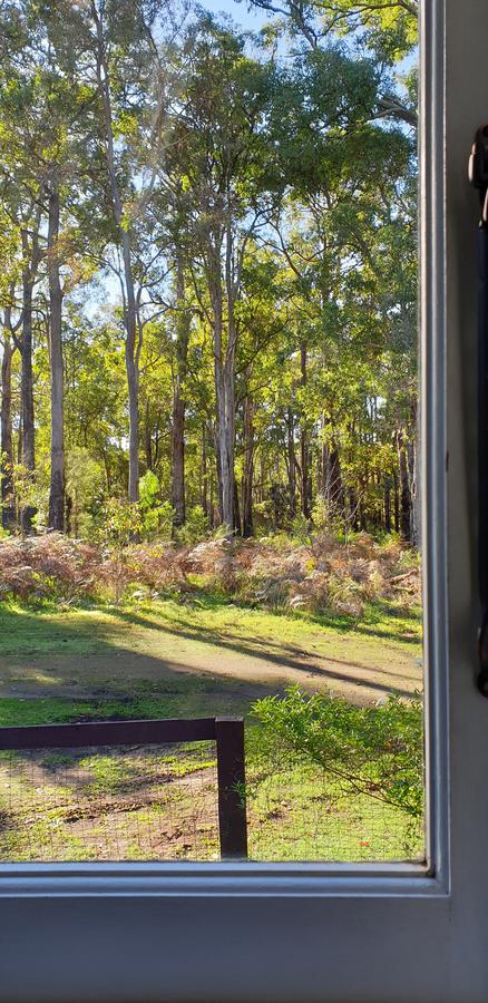 Di's Cabin In Dwellingup - Accommodation Cooktown 2