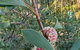 Di's Cabin In Dwellingup - thumb 4
