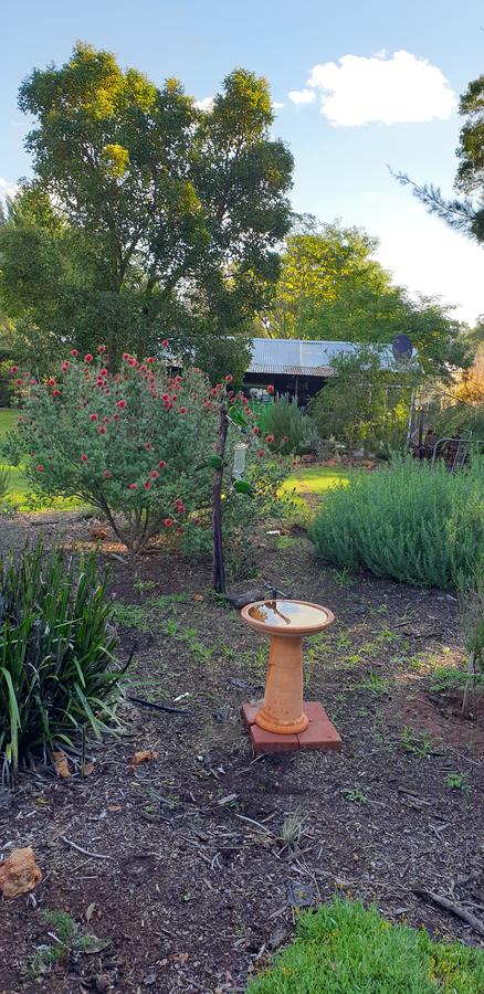 Di's Cabin In Dwellingup - Accommodation Cooktown 14
