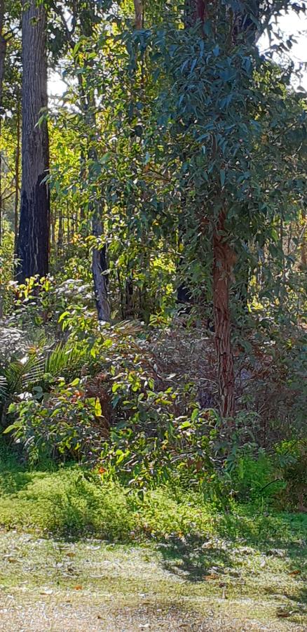 Di's Cabin In Dwellingup - Accommodation Cooktown 8