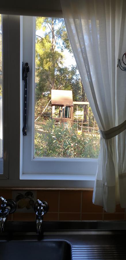 Di's Cabin In Dwellingup - Accommodation Cooktown 15