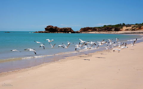 Apartments At Blue Seas Resort - Accommodation Cooktown 25