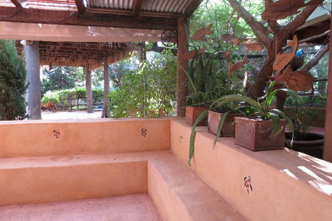 Bentwood Olive Grove Accommodation - Accommodation Cooktown 10