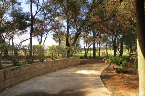 Bentwood Olive Grove Accommodation - Accommodation Cooktown 2