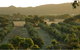 Bentwood Olive Grove Accommodation - thumb 24