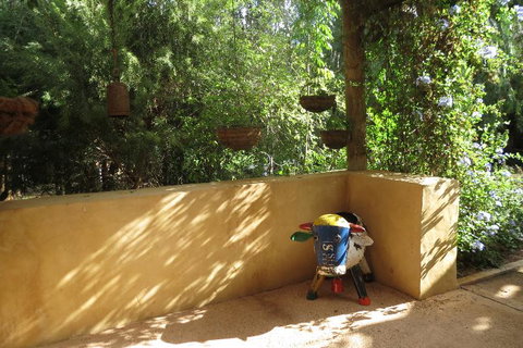 Bentwood Olive Grove Accommodation - Accommodation Cooktown 9