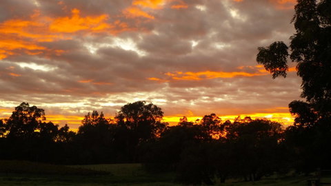 Windfall Estate Vineyard Cottage - Accommodation Cooktown 32