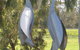 Windfall Estate Vineyard Cottage - thumb 31