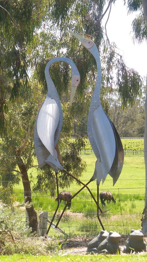 Windfall Estate Vineyard Cottage - Accommodation Cooktown 31