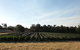 Windfall Estate Vineyard Cottage - thumb 28