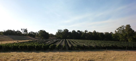 Windfall Estate Vineyard Cottage - Accommodation Cooktown 28