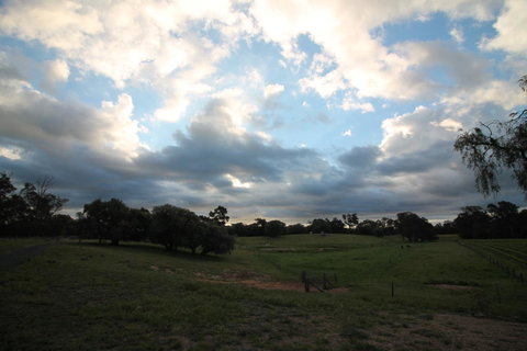 Windfall Estate Vineyard Cottage - Accommodation Cooktown 33