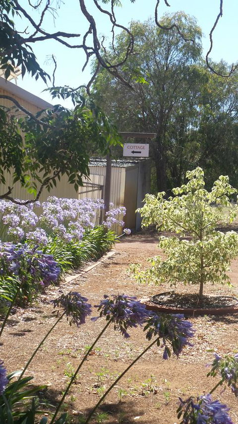 Windfall Estate Vineyard Cottage - Accommodation Cooktown 13