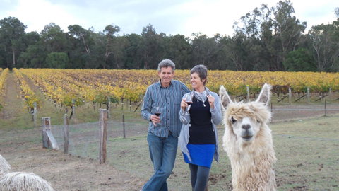 Windfall Estate Vineyard Cottage - Accommodation Cooktown 11