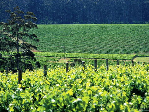 The Pemberton Hotel - Accommodation Cooktown 5