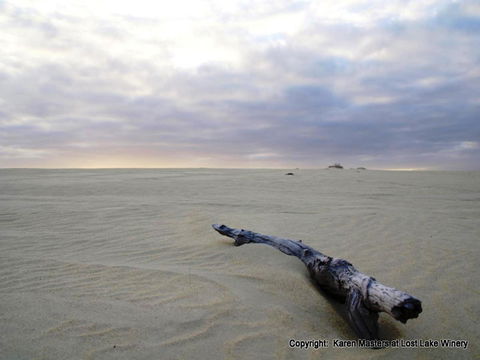 The Pemberton Hotel - Accommodation Cooktown 40