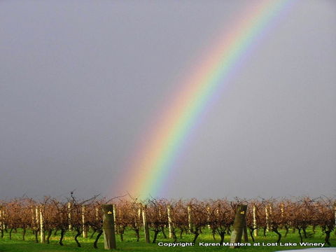 The Pemberton Hotel - Accommodation Cooktown 41