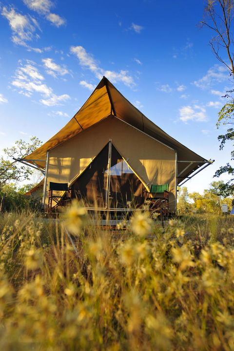 Bungle Bungle Wilderness Lodge - Accommodation Cooktown 2