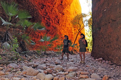 Bungle Bungle Wilderness Lodge - Accommodation Cooktown 13