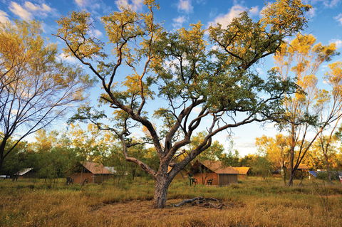 Bungle Bungle Wilderness Lodge - Accommodation Cooktown 11