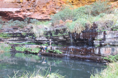 Tom Price Tourist Park - Accommodation Cooktown 32