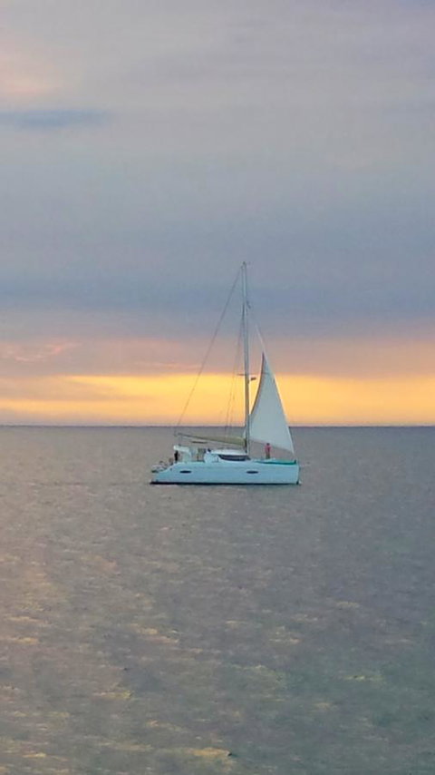 Freo's Choice - Accommodation Cooktown 7