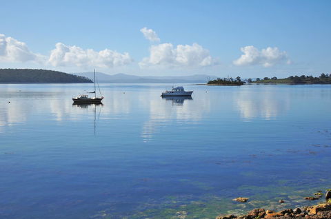 Smugglers Rest Apartments Dover - Accommodation Cooktown 19