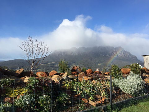 Manna Hill Farm - Accommodation Cooktown 25