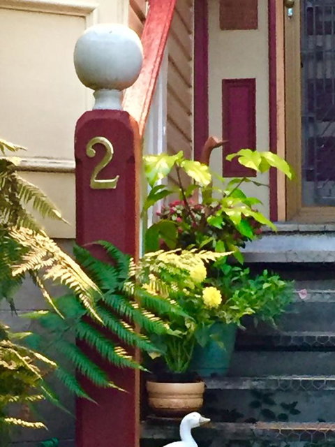 Wandering Geese Boutique Bed And Breakfast - Accommodation Cooktown 25