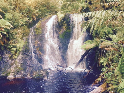 Wandering Geese Boutique Bed And Breakfast - Accommodation Cooktown 29