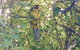 Wandering Geese Boutique Bed And Breakfast - thumb 24