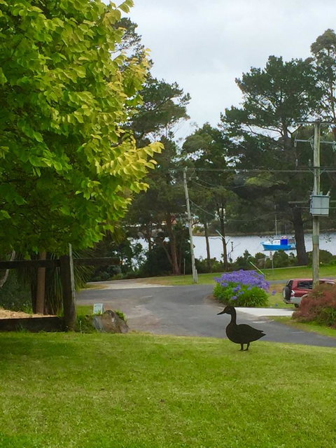 Wandering Geese Boutique Bed And Breakfast - Accommodation Cooktown 15